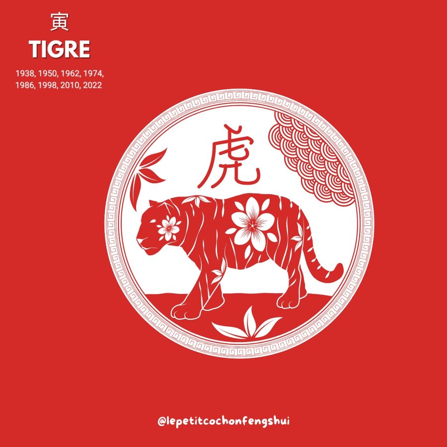 475269569_18091818235547256_2517717281764419984_n