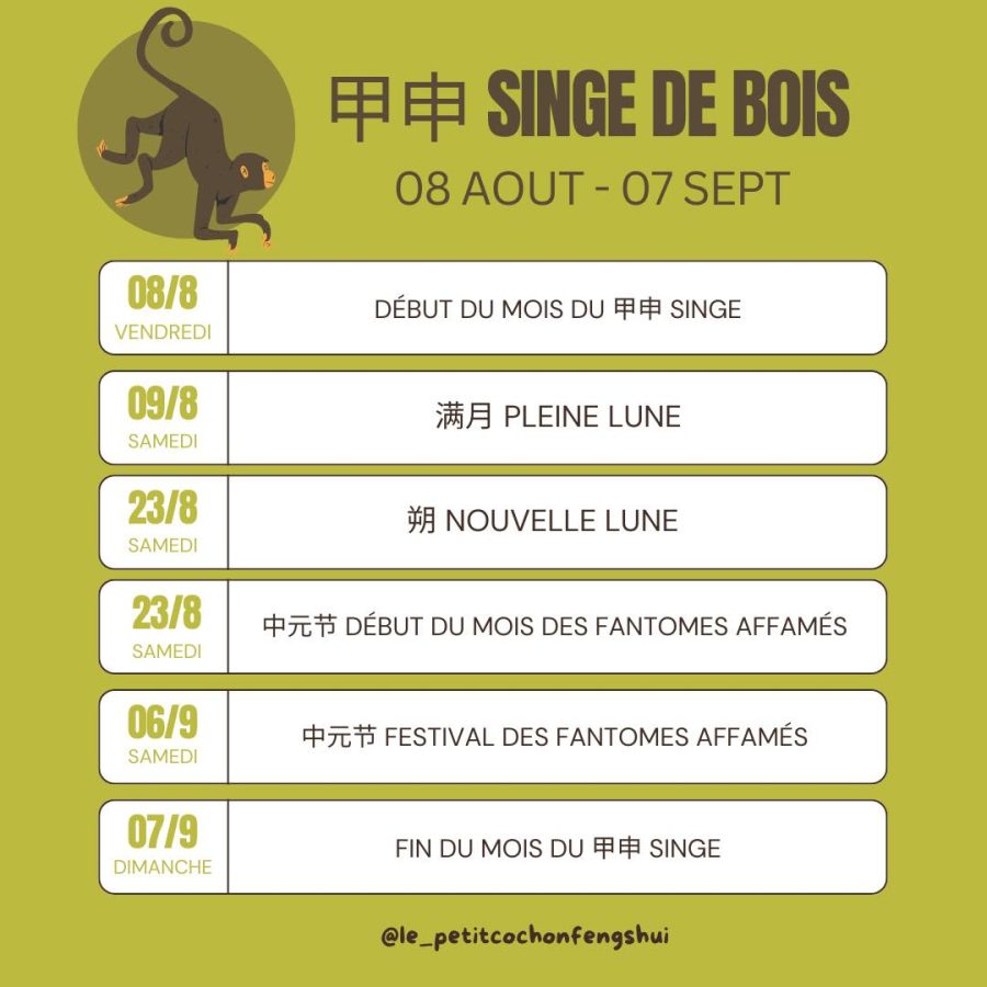 514406045_1357864243010928_3401797224221406647_n